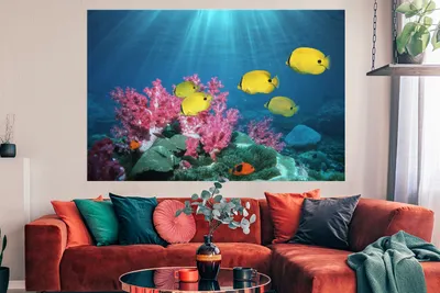 Produktbild von MuchoWow® Poster Fisch - Koralle - Licht 180x120 cm - Fotoplakat