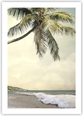 Produktbild von Poster - Poster ohne Rahmen - Palme Strand Insel - 50x70 cm - Wand Bild - Wanddeko - Wandbilder - Kunstposter - Wandposter - Bilder - Kunstdruck - Wanddekoration - Wandbild - P2XPA50x70-4154