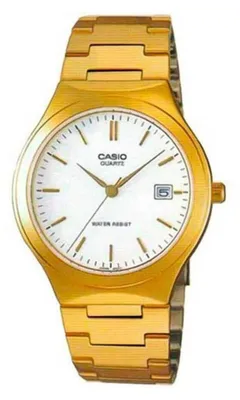 Obrázek produktu pro Sledujte Casio ty307420XXA