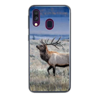 Produktbild von MuchoWow® Handyhülle Schutzhülle Hülle für Samsung Galaxy A40 Hirsche - Elche - Gras Silikon Softcase Handy Hülle - Handy-Tasche