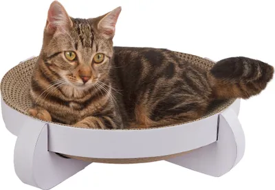Produktbild von Kerbl Katzenbett Kratzbett Platinum aus Pappe 35x35x10cm, mit Catnip, weiß; 81555