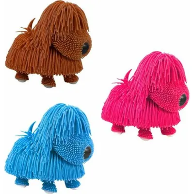 Image de JIGGLY pet - Chien