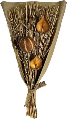 Produktbild von Naturbouquet braun - ca. 50 cm