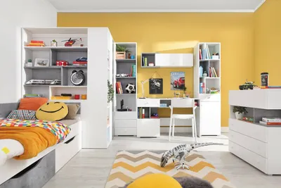 Produktbild von TKmoebel Regal SIGMA SI6 zweitüriges 45 cm Bücherregal JugenzimmerRegal