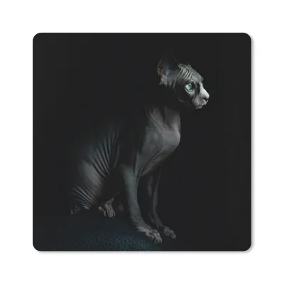 Produktbild von MuchoWow® Mauspad Mousepad Porträt einer schwarzen Sphynx 30x30 cm - Mousepads - Maus Mat - Pad - Mausunterlage - Gaming