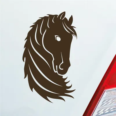 Produktbild von Auto Aufkleber Pferd Horse Pony Pferdeliebhaber Reiten 15x9 cm Braun Sticker Heckscheibenaufkleber