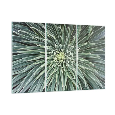 Produktbild von Bilder auf glas - 3 Teile - Agave Grün Pflanze - 165x110cm - Glasbilder - Wandbilder - Bilder - zum Aufhängen bereit - Wanddekoration aus Glas - Glas Bilder - Wandbild auf Glas - GCE165x110-4905