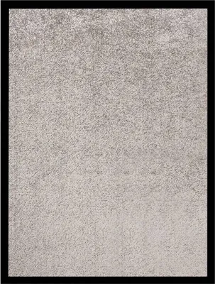 Image de Paillasson Gris 40x60 cm