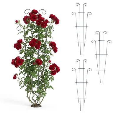 Image de Treillis Relaxdays, lot de 4, H x l : 82 x 31 cm, métal, support pour plantes grimpantes, plantes de jardin et en pot, noir
