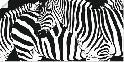 Produktbild von ARTland Poster Zebrastreifen Größe: 100x50 cm