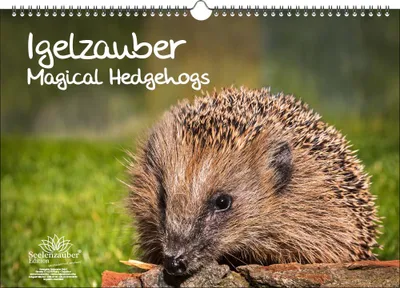 Produktbild von Igelzauber DIN A3 Immerwährender Kalender Igel - Seelenzauber