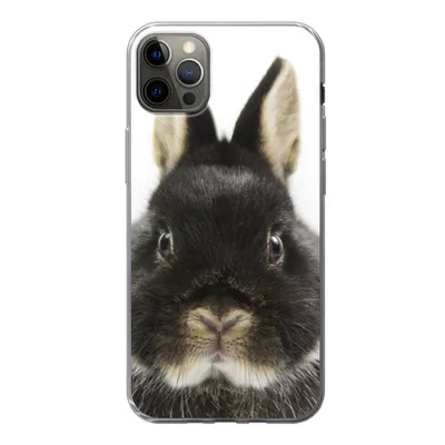 Produktbild von MuchoWow® Handyhülle Schutzhülle Hülle für iPhone 13 Pro Max Kaninchen - Haustiere - Fell Silikon Softcase Handy Hülle - Mobiltelefon