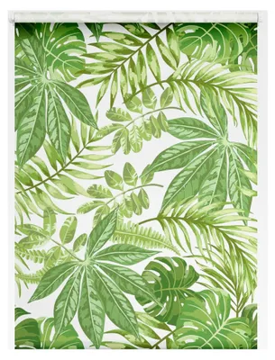 Produktbild von Klemmfix Tageslicht-Rollo mit Motiv, ohne Bohren, blickdicht, Seitenzugrollo, Blätter - Grün 90 cm x 150 cm (B x L)