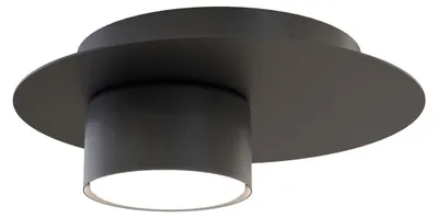 Obrázek produktu pro Stropní svítidlo Bolx z matné černé oceli