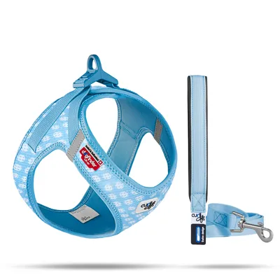 Produktbild von Curli Clasp Vest Geschirr Puppy Set skyblue-circles