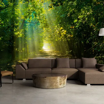 Produktbild von Fototapete selbstklebend Wald 294x210 cm Tapete Wandtapete Wandbilder Klebefolie Dekofolie Tapetenfolie Wand Dekoration Wohnzimmer - Natur c-A-0086-a-a