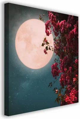 Zdjęcie produktu dla OBRAZ NA PŁÓTNIE 049 Księżyc 60x60cm
