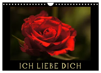 Produktbild von Ich liebe Dich (Wandkalender 2027 DIN A4 quer), CALVENDO Monatskalender