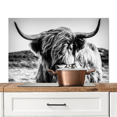Produktbild von KitchenYeah®  Spritzschutz Küche - Küchenrückwand - Wandschutz für Herd und Spüle - Schottisches Hochlandrind - Natur - Kuh - Schwarz - Weiß 100x65 - Alu-Dibond (Alternative zum Spritzschutz aus Glas)