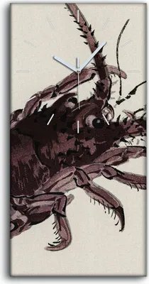 Produktbild von Dekor Leinwand Uhr Wandbilder Geräuschlos 30x60 Malerei Asiatische Tier Kunst - weiße Hände