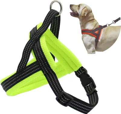 Produktbild von Hunde-Harnässche, verstellbar, Auswahl aus 4 Größen, für kleine und mittelgroße Hunde
