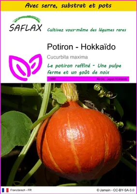 Image de SAFLAX Ensemble de culture - Potiron - Hokkaïdo - 10 graines - Cucurbita