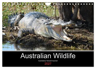 Immagine prodotto di Fauna selvatica australiana (calendario da parete 2027, formato A4 orizzontale), calendario mensile CALVENDO