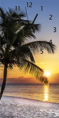 Produktbild von Wallario Design Wanduhr bedruckt, Größe 30 x 60 cm, Motiv: Palme am Strand - Sonnenuntergang über dem Meer