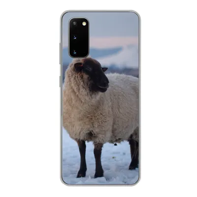 Produktbild von MuchoWow® Handyhülle Schutzhülle Hülle für Samsung Galaxy S20 Schaf - Schnee - Berg Silikon Softcase Handy Hülle - Bild