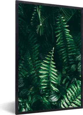 Produktbild von MuchoWow® Gerahmtes Poster Blätter - Dschungel - Natur - Tropisch - Pflanzen 60x90 cm - Poster mit Schwarzem Bilderrahmen Wandposter Rahmen Foto Bilder - Kunst
