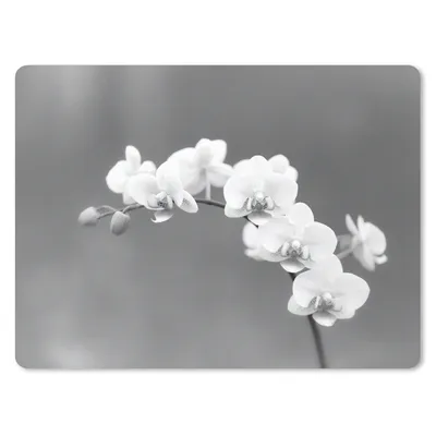 Produktbild von MuchoWow® Mauspad Mousepad Orchidee - Blumen - Pflanze - Weiß - Lila 23x19 cm - Mousepads - Maus Mat - Pad - Mausunterlage - Schreibtischunterlage - Mauspad