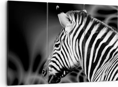 Produktbild von Bild auf Leinwand - Leinwandbild - Tier Zebra Streifen - 105x70cm - Wand Bild - Wanddeko - Leinwanddruck - Bilder - Kunstdruck - Wanddekoration - Leinwand bilder - Wandkunst - CE105x70-0300