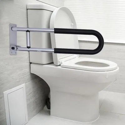 Produktbild von Famanu Toilettengriff - Klappbar - Sicherheitshandlauf - Toilettengestell - 60cm - 120kg - Silber - Schwarz