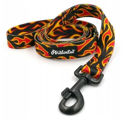 Image de Psiakrew Laisse Urbaine Dog On Fire Rock 160cm