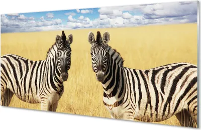 Produktbild von Glasbilder 100x50 Wandkunst Zebra-Box