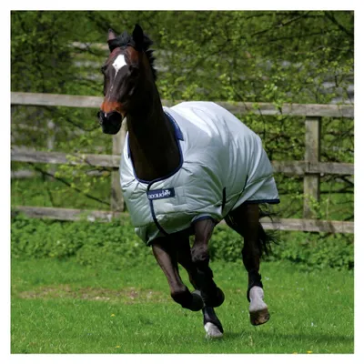 Produktbild von Pferdedecke POWER TURNOUT CLASSIC, silber, 145