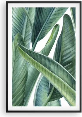 Produktbild von Gerahmtes Poster - Schwarzer Rahmen - Exotisch Blätter Grün - 61x91,5 cm - Wand Bild - Wanddeko - Wandbilder - Kunstposter - Wandposter - Bilderrahmen - Bilder - Kunstdruck - Wandbild P2BPA61x91-4258