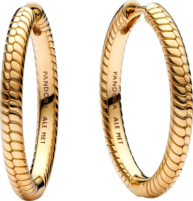 A pair of gold hoop earrings with a snake-skin pattern.