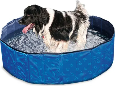 Produktbild von Karlie Doggy Pool - Hundespielzeug - PVC - Blau - 120x120x30 cm