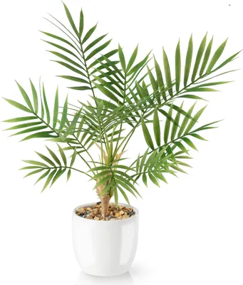 Zdjęcie produktu dla Sztuczna palma Areca (35 cm) w białej ceramicznej doniczce: sztuczne rośliny jak prawdziwe | sztuczne rośliny w doniczce | sztuczna roślina | sztuczna palma | sztuczne kwiaty w doniczce | mała sztuczna palma