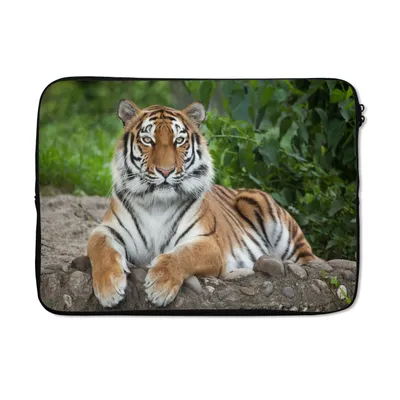 Produktbild von MuchoWow® Laptop Hülle 14 ZollTiger - Natur - Steine Laptoptasche - Laptoptasche - Stoßsicher - Schutzhaube