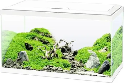 Produktbild von Aquarium Ciano Aqua inkl. Abdeckung, Beleuchtung, Filtersystem inklusive Umwälzpumpe, Heizstab, Futter und Wasseraufbere
