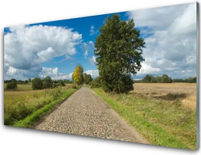 Imagen del producto de Imágenes en acrílico, 100x50 cm, cuadro para pared, impresión de una carretera, paisaje con elementos decorativos