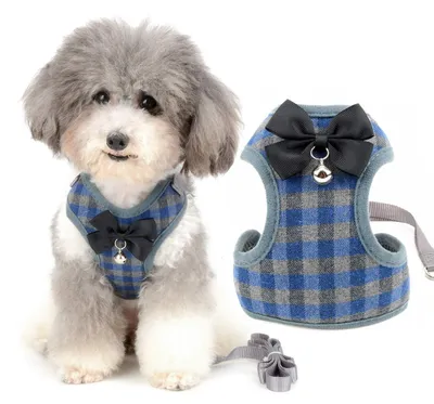 Immagine prodotto di Solidchoice - Set di pettorina e guinzaglio per cani di piccola taglia, ideale per passeggiate