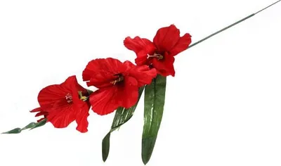 Zdjęcie produktu dla Gałązka Sztucznej Gladioli Czerwonej wysokości 55 cm