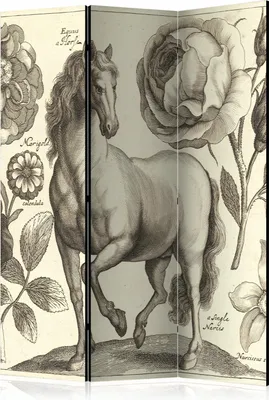 Produktbild von 3-teiliger Doppelseitiger Vlies Paravent - Horse 135x172 cm Tiere g-C-0036-z-b
