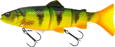 Immagine prodotto di Savage Gear 3D Line Thru Trout (Firetiger)