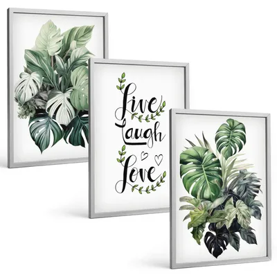 Produktbild von Bilder Set 3-teilig im silbergerahmten Rahmen – Wandbilder 3 Stück – gerahmte Poster für Wohnzimmer, Schlafzimmer und Flur – 40x60 cm – Blattpflanzen leben, lachen, lieben