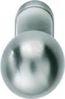 A close-up, studio shot of a silver door handle with an oval rosette, against a white background.