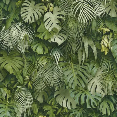 Produktbild von A.S. Création Dschungeltapete Greenery Palmentapete Vliestapete grün 10,05 m x 0,53 m